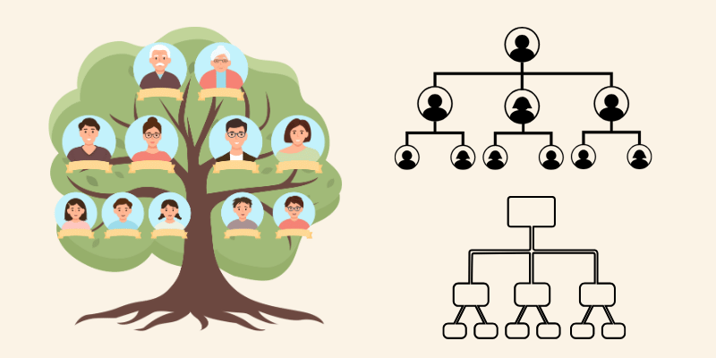 o que é uma árvore genealógica